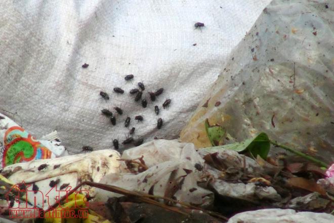 Bịt mũi, nín thở khi vào thị xã Sơn Tây, Hà Nội ảnh 14