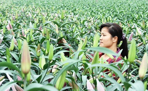 Agribank – 30 năm lớn mạnh cùng đất nước ảnh 1