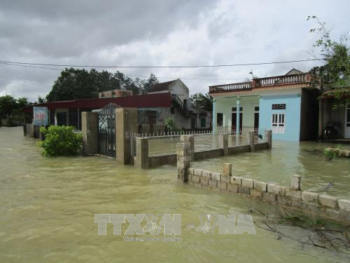Nhiều nhà dân, hoa màu ở Thanh Hóa ngập sâu trong nước do áp thấp nhiệt đới ảnh 1