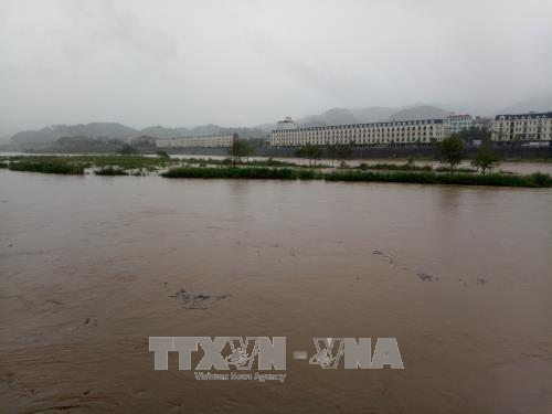 Lào Cai: Mưa trên diện rộng, lũ bất ngờ dâng cao ảnh 1