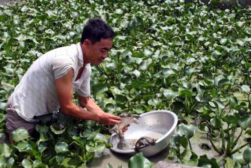 Hiệu quả từ vốn vay chính sách cho đồng bào vùng cao Yên Bái ảnh 3