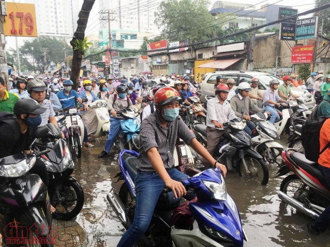 TP Hồ Chí Minh ngập nước, kẹt xe, cây đổ sau trận mưa suốt đêm ảnh 3