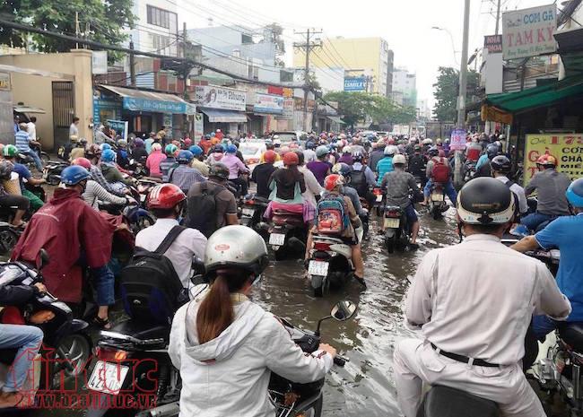TP Hồ Chí Minh ngập nước, kẹt xe, cây đổ sau trận mưa suốt đêm ảnh 4