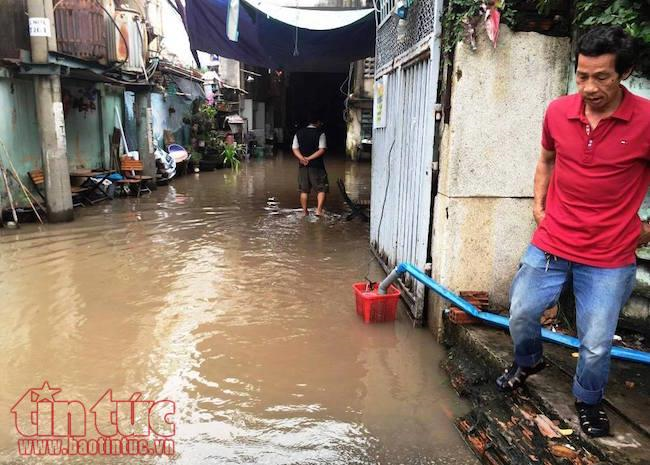 TP Hồ Chí Minh ngập nước, kẹt xe, cây đổ sau trận mưa suốt đêm ảnh 7