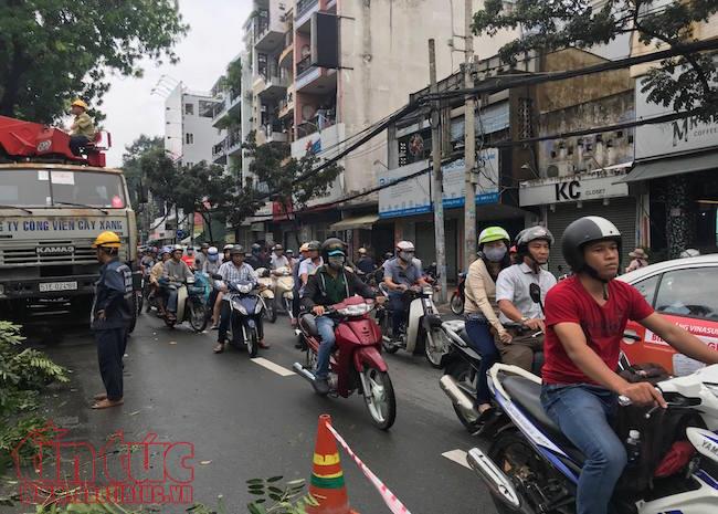 TP Hồ Chí Minh ngập nước, kẹt xe, cây đổ sau trận mưa suốt đêm ảnh 10
