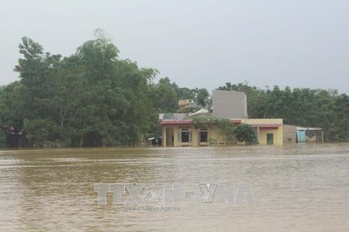 Vào vùng rốn lũ Thạch Định, Thanh Hóa ảnh 4