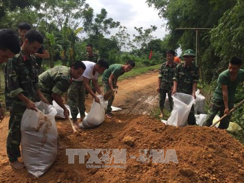 Thanh Hóa gia cố đê điều, chủ động ứng phó với bão số 11 ảnh 2