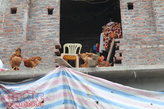 Người dân Chương Mỹ vẫn vật lộn trong ngập lụt và ô nhiễm ảnh 5