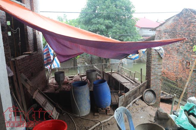 Người dân Chương Mỹ vẫn vật lộn trong ngập lụt và ô nhiễm ảnh 6