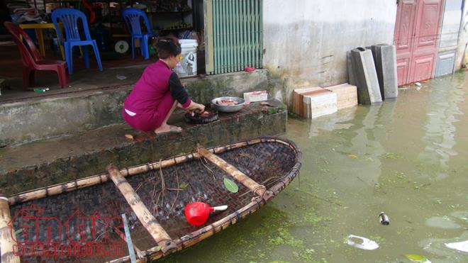 Người dân Chương Mỹ vẫn vật lộn trong ngập lụt và ô nhiễm ảnh 7