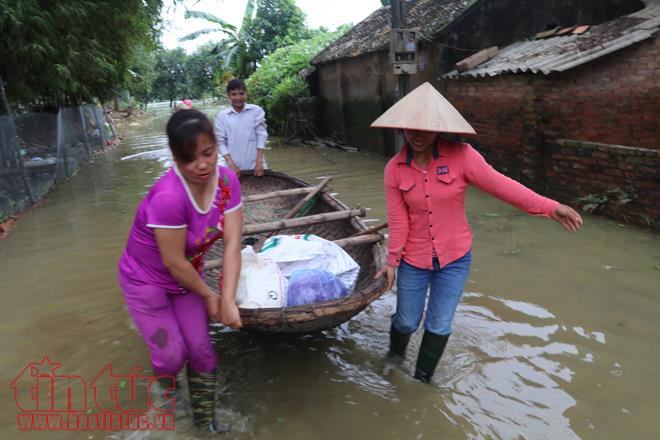 Người dân Chương Mỹ vẫn vật lộn trong ngập lụt và ô nhiễm ảnh 12