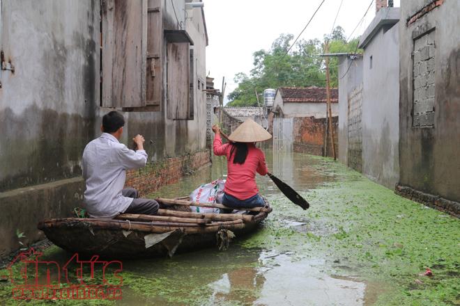 Người dân Chương Mỹ vẫn vật lộn trong ngập lụt và ô nhiễm ảnh 13