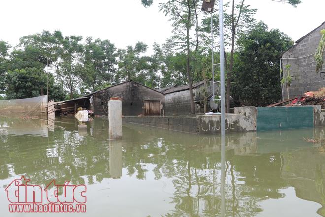 Người dân Chương Mỹ vẫn vật lộn trong ngập lụt và ô nhiễm ảnh 18