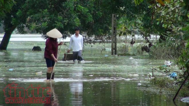 Người dân Chương Mỹ vẫn vật lộn trong ngập lụt và ô nhiễm ảnh 21