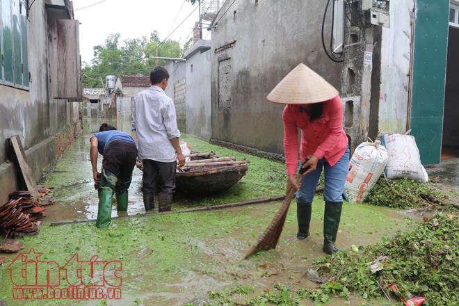 Người dân Chương Mỹ vẫn vật lộn trong ngập lụt và ô nhiễm ảnh 23