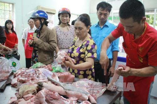Sau vụ lợn bị tiêm thuốc an thần, giá lợn liên tục lao dốc ảnh 1
