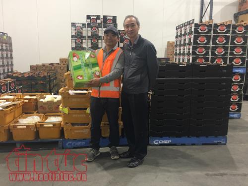 Trái thanh long Việt Nam có mặt tại bang Tây Australia ảnh 1