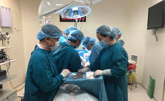 Phối hợp liên viện cứu sống bệnh nhân đa chấn thương nặng ảnh 1