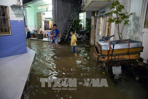 TP. Hồ Chí Minh ứng phó triều cường và áp thấp nhiệt đới ảnh 1