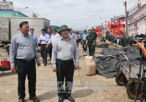 Ứng phó với bão số 12: Bình Thuận sẵn sàng xử lý các tình huống ảnh 2