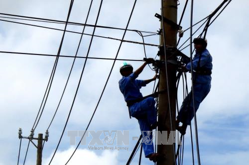 Khôi phục hoàn toàn lưới điện truyền tải bị ảnh hưởng do bão số 12 ảnh 1