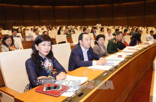 Đại biểu Quốc hội nghi ngờ có sự tiếp tay cho nạn phá rừng ảnh 1