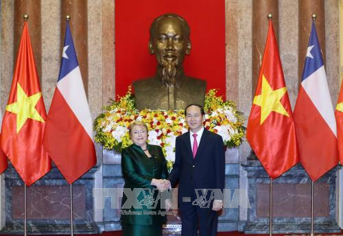 Chủ tịch nước Trần Đại Quang tiếp đón Tổng thống Chile Michelle Bachelet ảnh 3