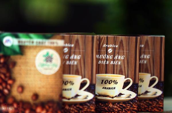 Phát triển thương hiệu cà phê Mường Ảng trên vùng cao Tây Bắc ảnh 9