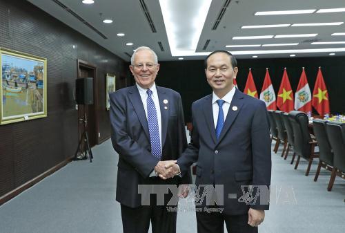 APEC 2017: Chủ tịch nước Trần Đại Quang gặp song phương Tổng thống Peru ảnh 1