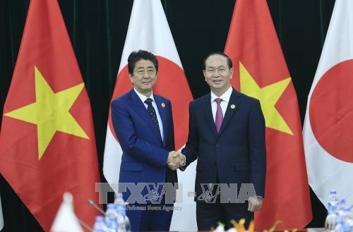 APEC 2017: Chủ tịch nước Trần Đại Quang tiếp Thủ tướng Nhật Bản ảnh 1
