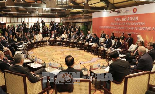 Chủ tịch nước chủ trì Đối thoại cấp cao không chính thức APEC - ASEAN ảnh 2