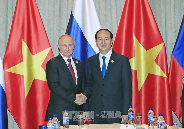 Chủ tịch nước Trần Đại Quang gặp song phương Tổng thống Nga Vladimir Putin ảnh 1