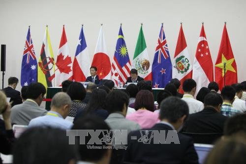 APEC 2017: Các nước tham gia CPTPP có thể tạm hoãn hạn chế một số nghĩa vụ ảnh 1