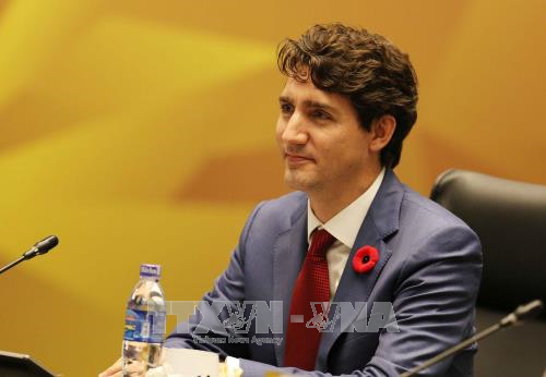 APEC 2017: Thủ tướng Canada khẳng định cam kết đối với hoạt động thương mại mở ảnh 1