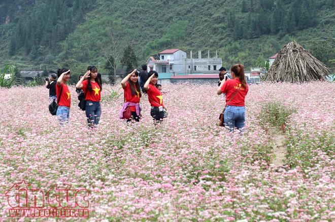Ngắm hoa tam giác mạch đẹp mê mải ở Hà Giang ảnh 7