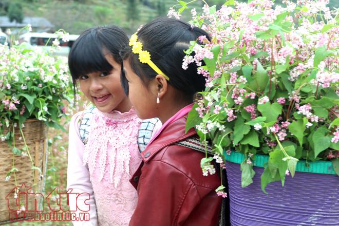 Ngắm hoa tam giác mạch đẹp mê mải ở Hà Giang ảnh 10