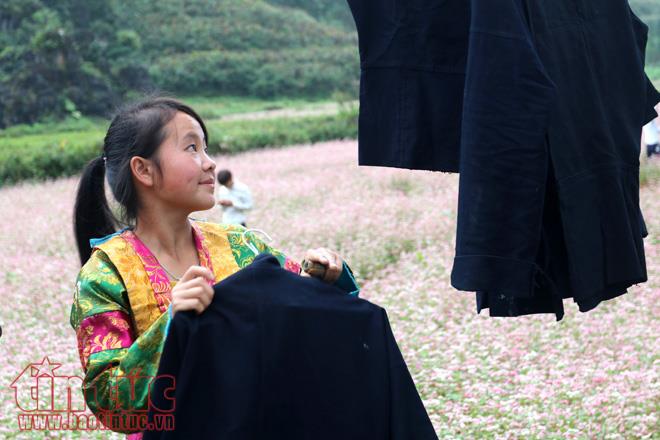 Ngắm hoa tam giác mạch đẹp mê mải ở Hà Giang ảnh 12
