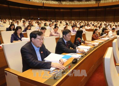 Quốc hội thông qua dự án Luật Lâm nghiệp