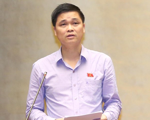 Những vấn đề đại biểu Quốc hội quan tâm chất vấn ảnh 1