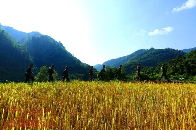 Đồn Biên phòng Pa Thơm: Điểm sáng tuần tra, canh gác đảm bảo an ninh biên giới ảnh 3