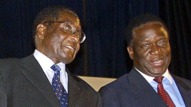 Chân dung nhân vật 'cá sấu' dự kiến trở thành tân Tổng thống Zimbabwe ảnh 3