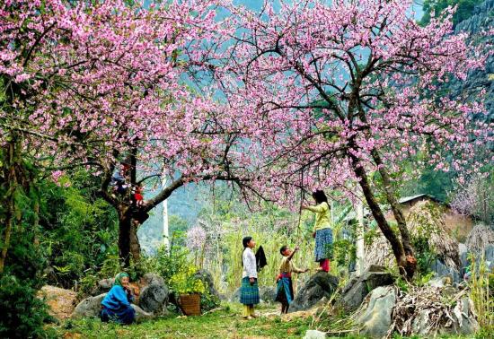 Vietravel tung chương trình ‘săn tour giờ vàng’ ảnh 1