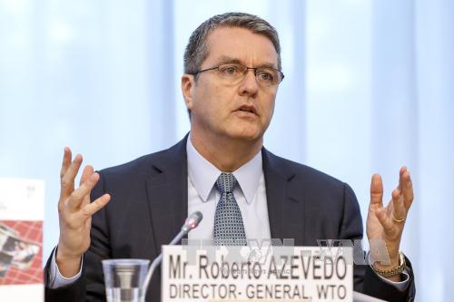 WTO: Brexit 'cứng' không phải là 'tận thế' với nước Anh ảnh 1