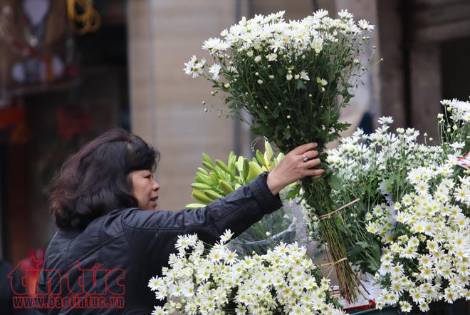 Cúc họa mi đem đông về trên phố Hà Nội ảnh 8