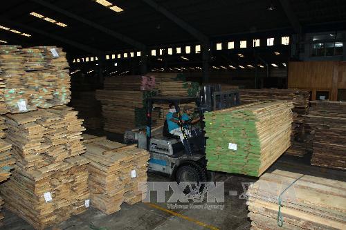 Khai thác các lợi ích từ rừng để 'nuôi' rừng ảnh 1