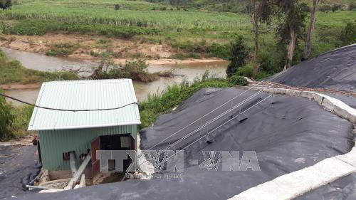 Gia Lai: Nhà máy tinh bột sắn xả thải gây ô nhiễm môi trường ảnh 1