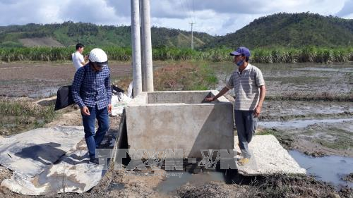 Gia Lai: Nhà máy tinh bột sắn xả thải gây ô nhiễm môi trường ảnh 2