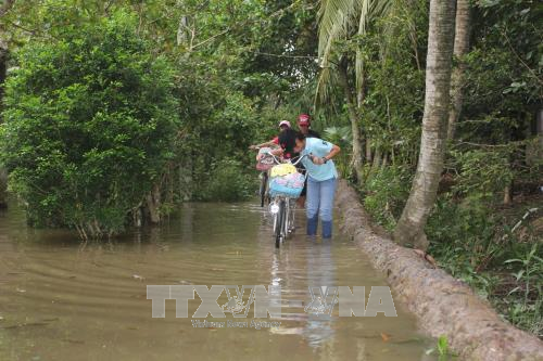Triều cường dâng cao gây ảnh hưởng nhiều nơi tại Bến Tre ảnh 1