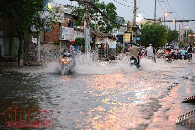 Người dân TP Hồ Chí Minh lại dầm mình trong nước triều cường ảnh 2