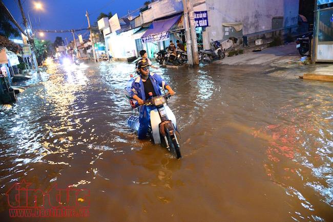 Người dân TP Hồ Chí Minh lại dầm mình trong nước triều cường ảnh 4